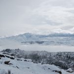 DSC_0733